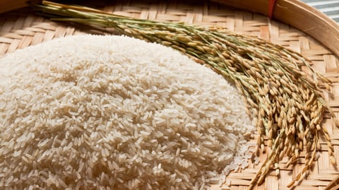 P20 rice/kilo fed 12-million Pinoys — DA
