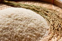 P20 rice/kilo fed 12-million Pinoys — DA