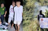 PRO 1 seizes P14.5-M drugs, destroys 40,000 marijuana plants