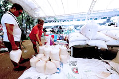 P20/kilo rice fed 12 million Pinoys—DA