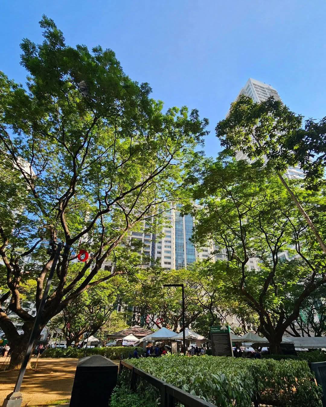 Makati’s parks, open spaces and pedestrian-friendly streets.
