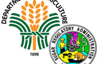 Sugar industry gets major overhaul