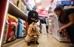 Pet Lovers Centre