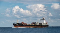 MARINA hits midyear revenue target