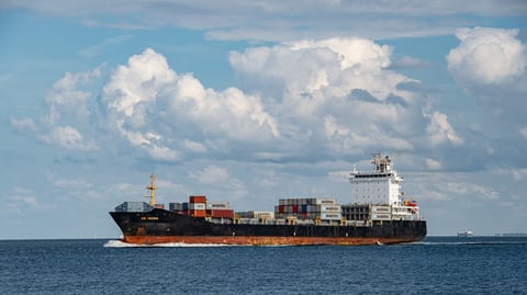 MARINA hits midyear revenue target
