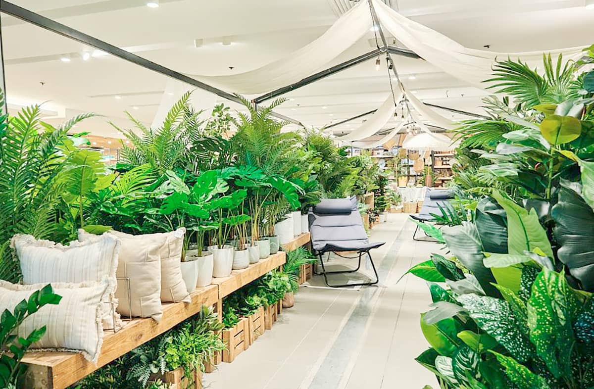 EVEN greenery is included in the choices at SM Home.