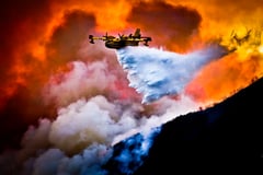 Forest fire evacuees reach 220,000 
