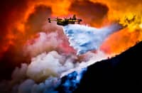Forest fire evacuees reach 220,000
