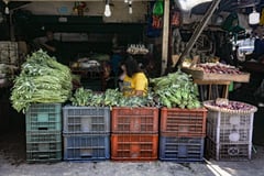 Claimed farms, fisheries gains cited