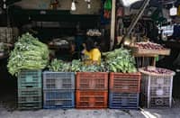 FRESH harvest Leafy greens fill a stall in Divisoria, offering shoppers a fresh and affordable selection of vegetables.