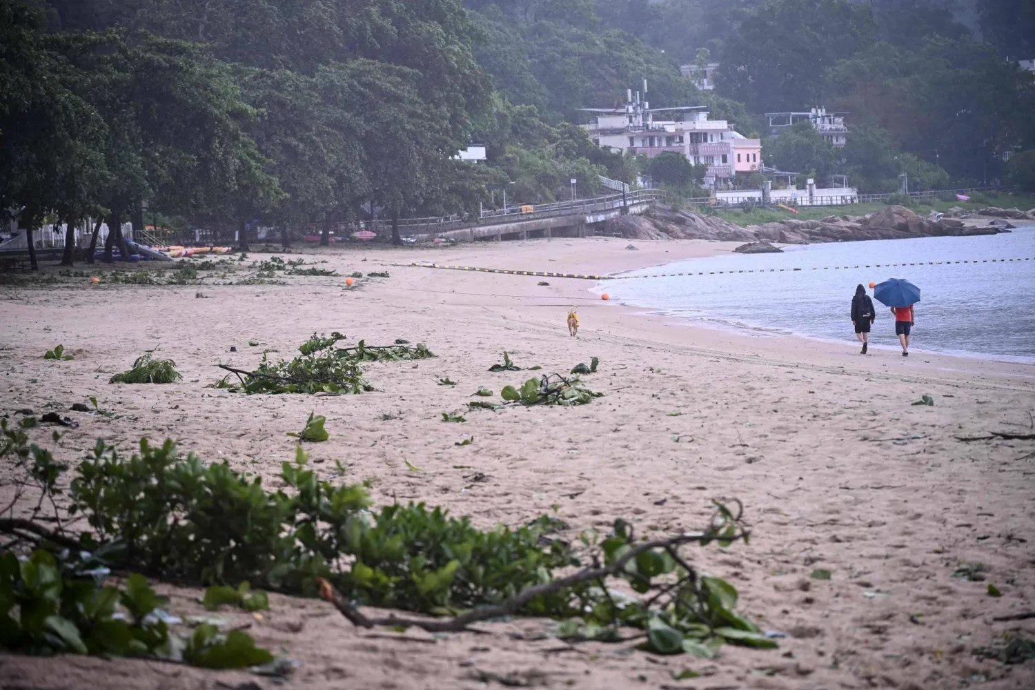 Strong winds, rain lash China as typhoon 'Noul' makes landfall