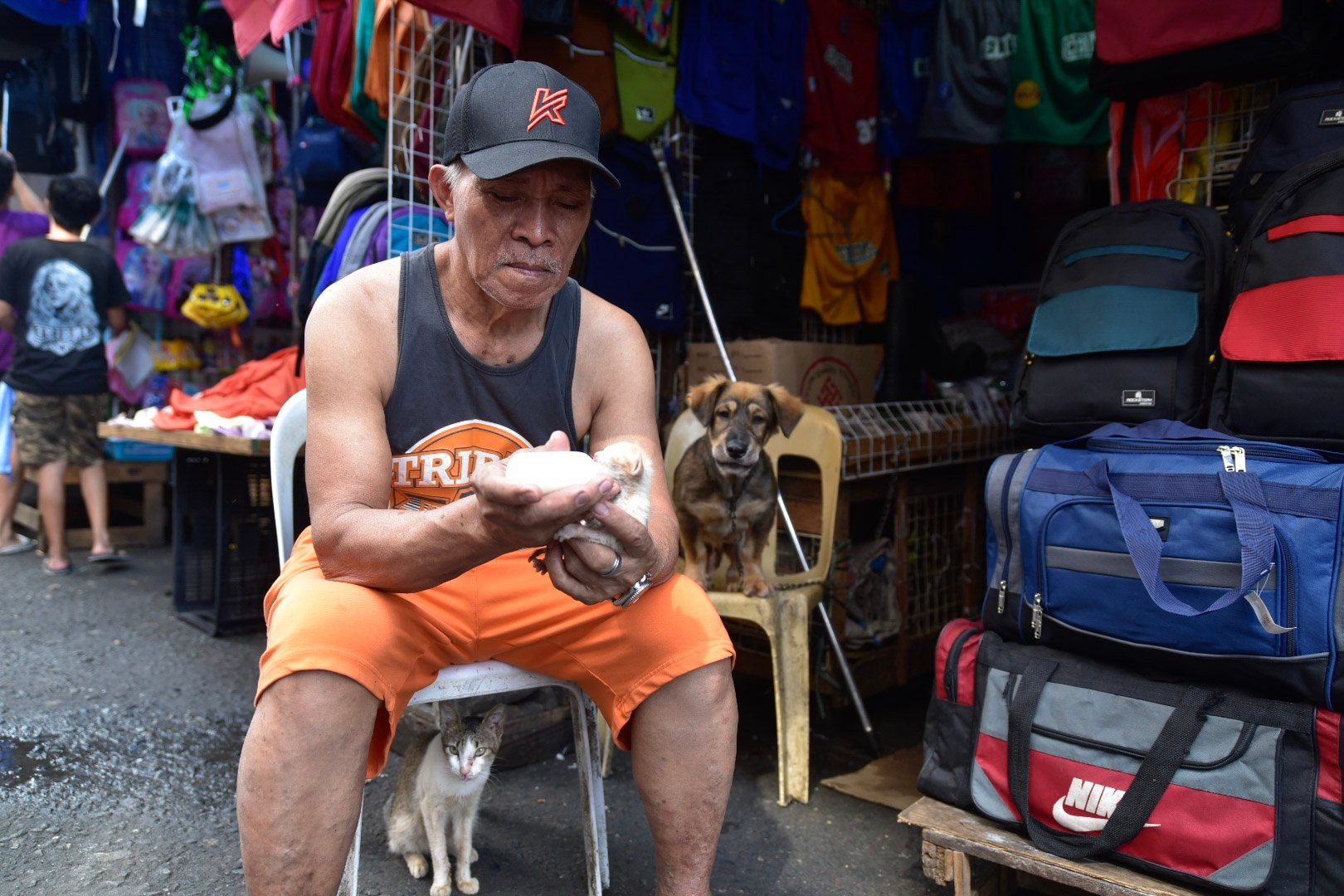 A man feeding a kitten in Divisoria, Manila
