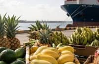 THE Philippines recorded a historic high in agricultural exports, reaching $1.029 billion in April amid the Department of Agriculture’s intensified global market expansion campaign.
