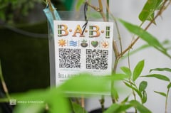 MMSU, bamboo firm forge partnership to advance iron bamboo industry in Northern Luzon