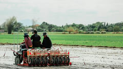 PhilMech deploys 1,700 rice machines