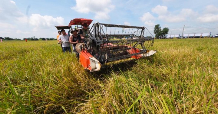 PhilMech nears full rollout of 2025 rice machines