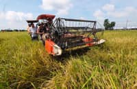 Aurora council pushes El Niño preparations, support for local farmers