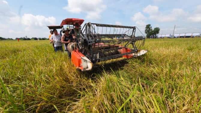 DA, DPWH seal P430-M deal for 29 MIMAROPA farm roads