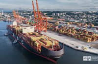 The MSC Venice at Baltic Container Terminal.