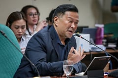 JV Ejercito files bills to scrap system loss, VAT on electricity