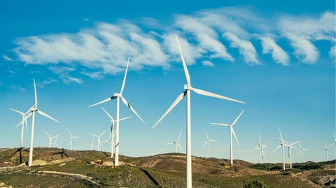 DoE targets December offshore wind auction