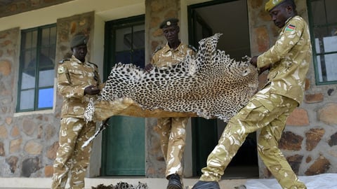 UN lists South Sudan wildlife site as endangered