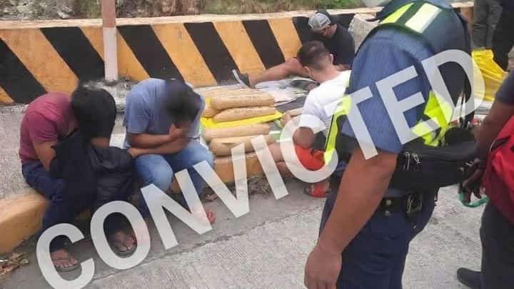 Photo Courtesy of PDEA Cordillera