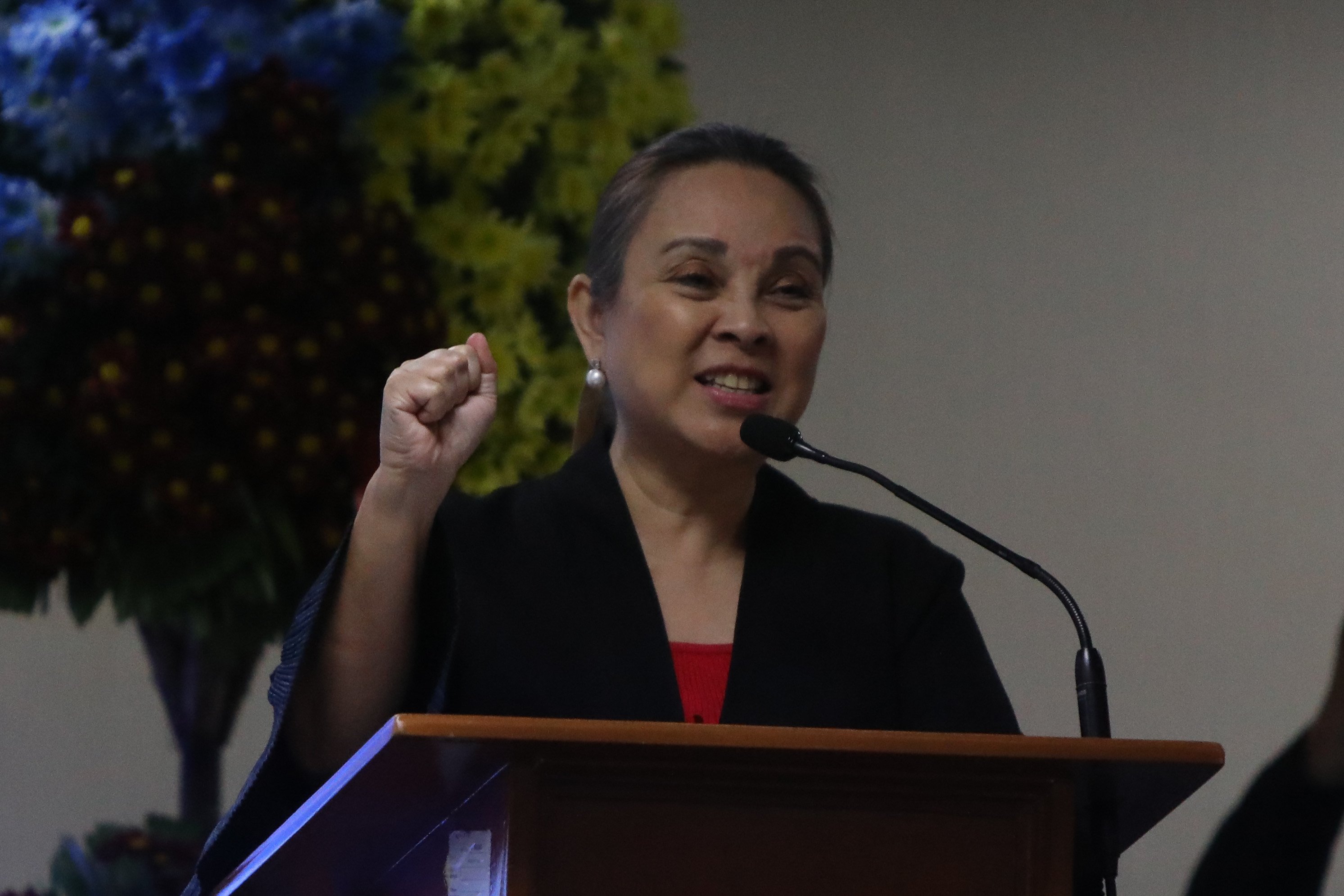 Legarda pushes disaster readiness