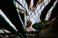 Fish drying in Navotas