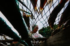 Philippine fisheries industry turns to AI, digital tools