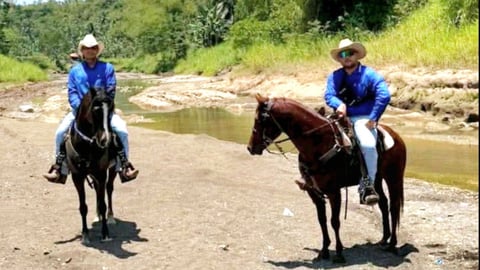 A day at the ranch
