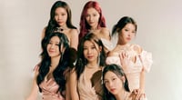 Momoland’s Manila fan concert canceled
