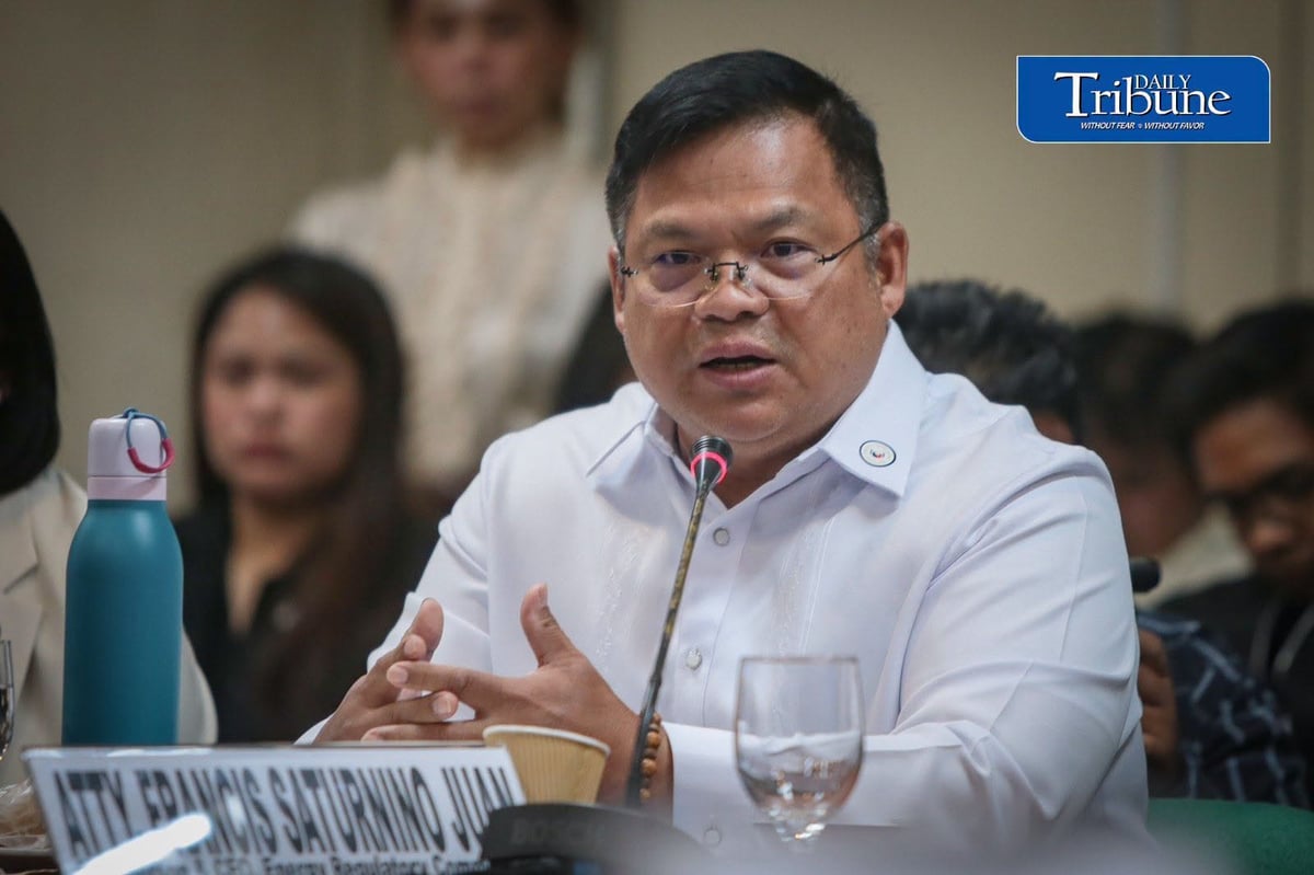 ERC: Power firms can withstand financial impact of removing portion of system loss