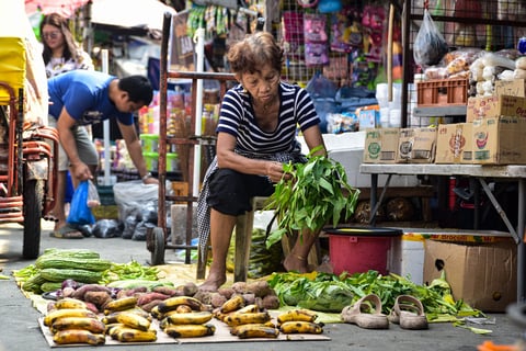 Torre calls for partnership between gov’t, vendors
