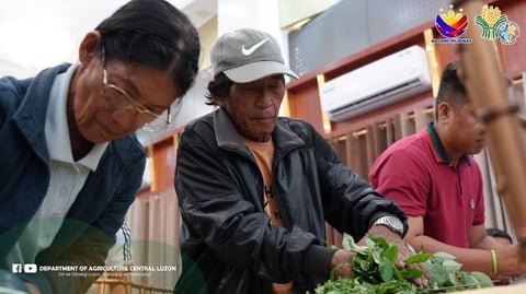 Aetas undergo training on Nutrient Management and Organic Fertilizer Utilization in Cabanatuan City