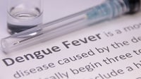 Dengue cases surge in Cebu