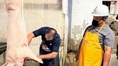 Aurora meat workers undergo animal welfare, food safety training