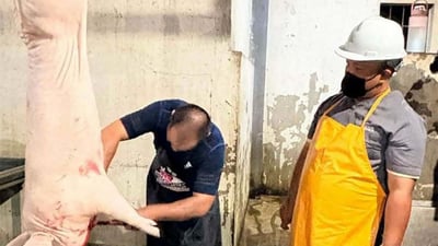 Aurora meat workers undergo animal welfare, food safety training