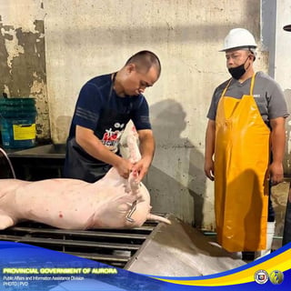 Aurora butchers sharpen knife, meat-handling skills