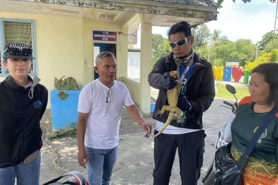 Rare monitor lizard rescued from children’s clutches
