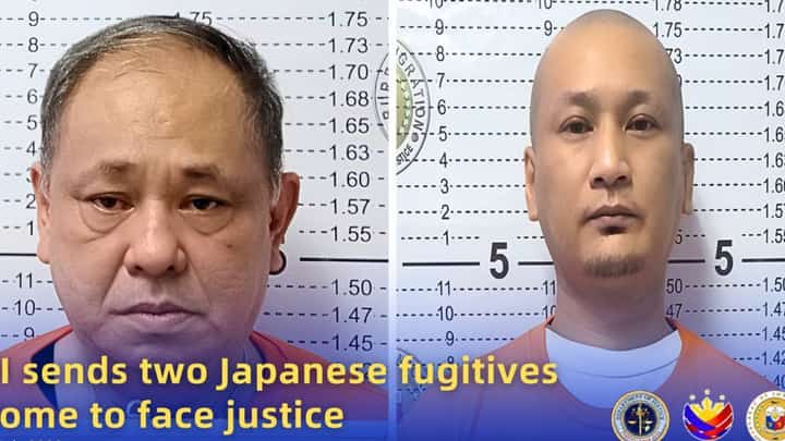 Japanese theft suspects deported