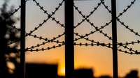 Teen dies in live-wire tragedy