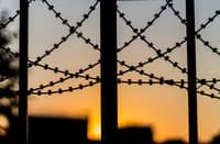 Teen dies in live-wire tragedy