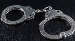 NPD sweep nets top fugitives