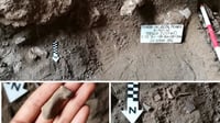 20,000-year-old tiger fossils found