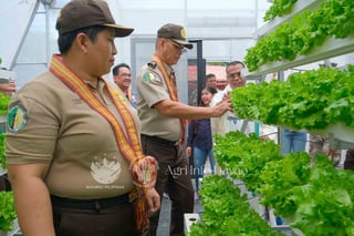 PDLs grow food thru hydroponics