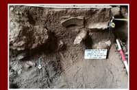 20,000-year-old tiger fossils discovered in Palawan cave