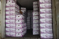 Davao exports reach Saudi shelves
