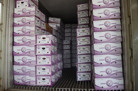 Davao exports reach Saudi shelves
