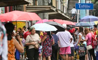 Umbrella 